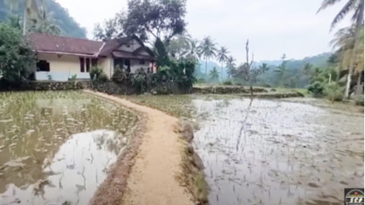 Pria Lanjut Usia Hidup Damai di Tengah Sawah Bareng Istri Muda, Rumahnya Luas dan Bersih