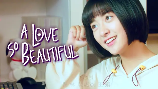 A Love So Beautiful