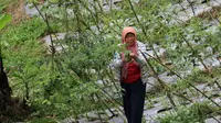 Komitmen Indonesia Dongkrak Kesejahteraan Masyarakat Lewat Dana Pengelolaan Lingkungan
