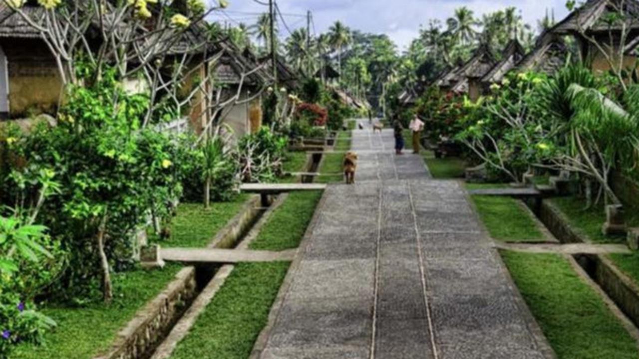 Bule California Pilih Tinggal di Bali Sambil Jalankan Bisnis