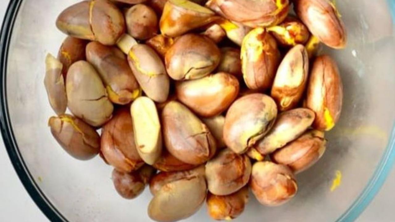 Sering Dibuang, Biji Nangka Ternyata Efektif untuk Tangkal Kolesterol Jahat