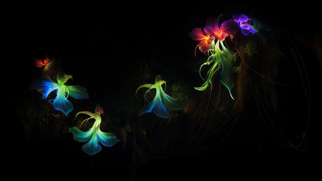 Ilustrasi bioluminescence