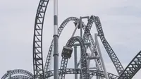 Misteri Kematian Perempuan Usai Naik Roller Coaster Akhirnya Terungkap
