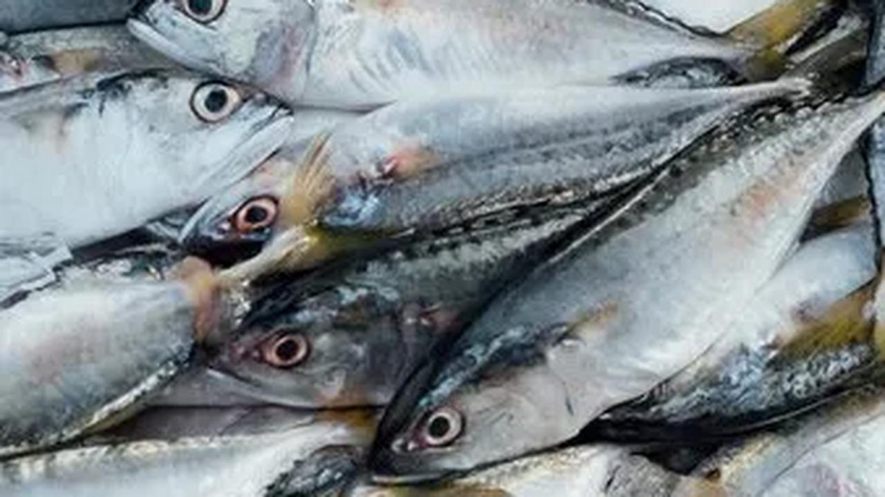 Nutrisi Penting untuk Perkembangan Otak