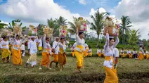 Ritial Usaba Sri Jadi Wujud Syukur Petani di Karangasem
