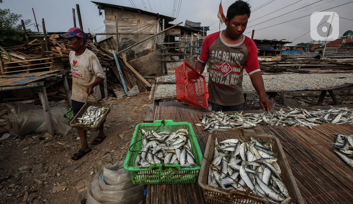Pekerja menjemur ikan asin di kawasan Kampung Nelayan Muara Angke, Jakarta, Kamis (3/6/2021). Realisasi anggaran pemulihan ekonomi nasional (PEN) hingga 21 Mei 2021 mencapai Rp 183,98 triliun atau 26,3 persen dari total pagu anggaran sebesar Rp 699,43 triliun. (Liputan6.com/Johan Tallo)