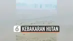 Rombongan kanguru Australi kabur dari hutan habitatnya setelah tempat tinggalnya terbakar api. Sejumlah wilayah di Australia masih mengalami kebakaran hutan hebat hingga saat ini.