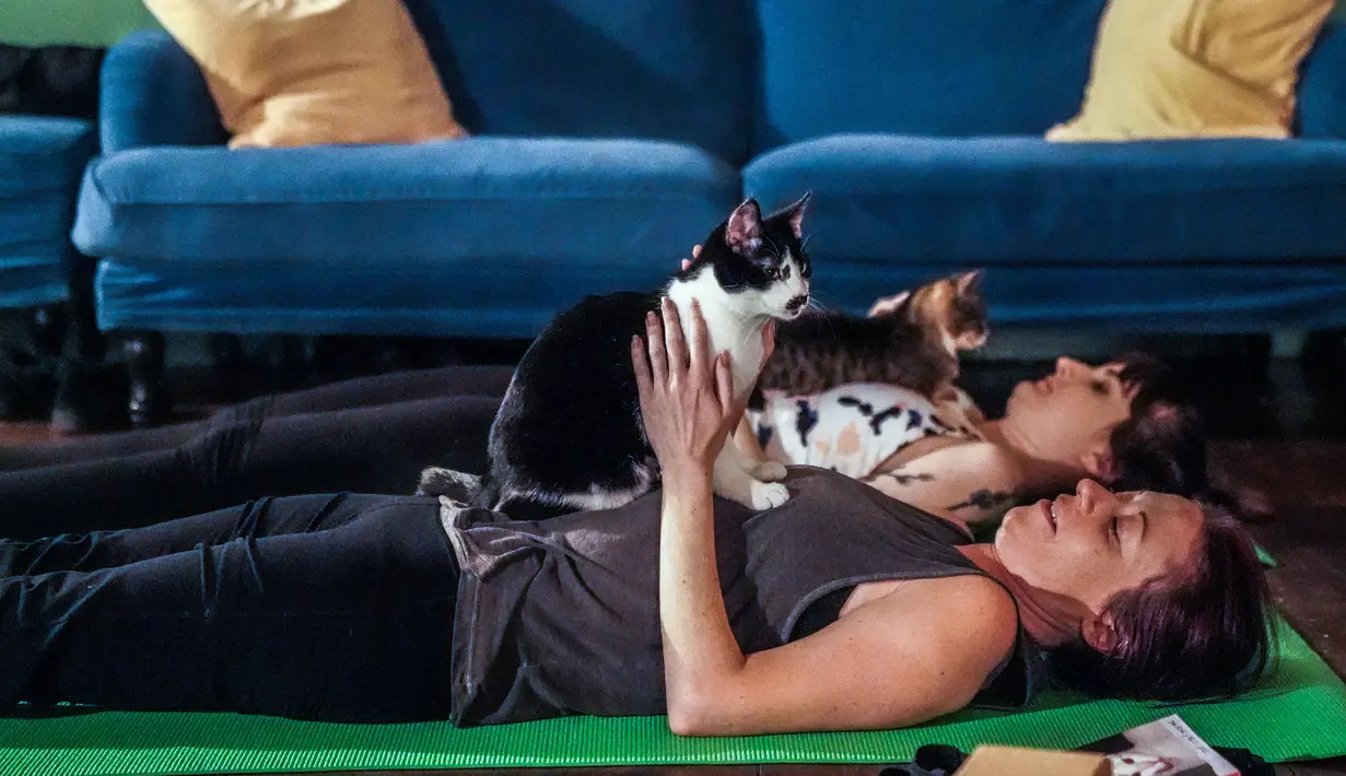 Orang-orang berpartisipasi dalam kelas yoga bersama kucing  di kafe kucing Brooklyn, New York, Rabu (13/3). Kafe ini menawarkan tempat latihan yoga dengan ditemani kucing-kucing menggemaskan. (REUTERS/Jeenah Moon)