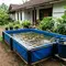 7 Ide Kolam Nila dengan Filter Sederhana untuk Rumah, Hemat dan Mudah Dirawat