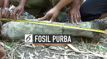 Seorang pencari pasir di Ngawi menemukan sebuah benda yang diduga tulang kaki gajah purba. Penemuan ini akan segera diberikan ke instansi terkait untuk dilakukan penelitian.