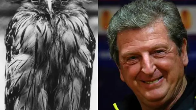 Roy Hodgson