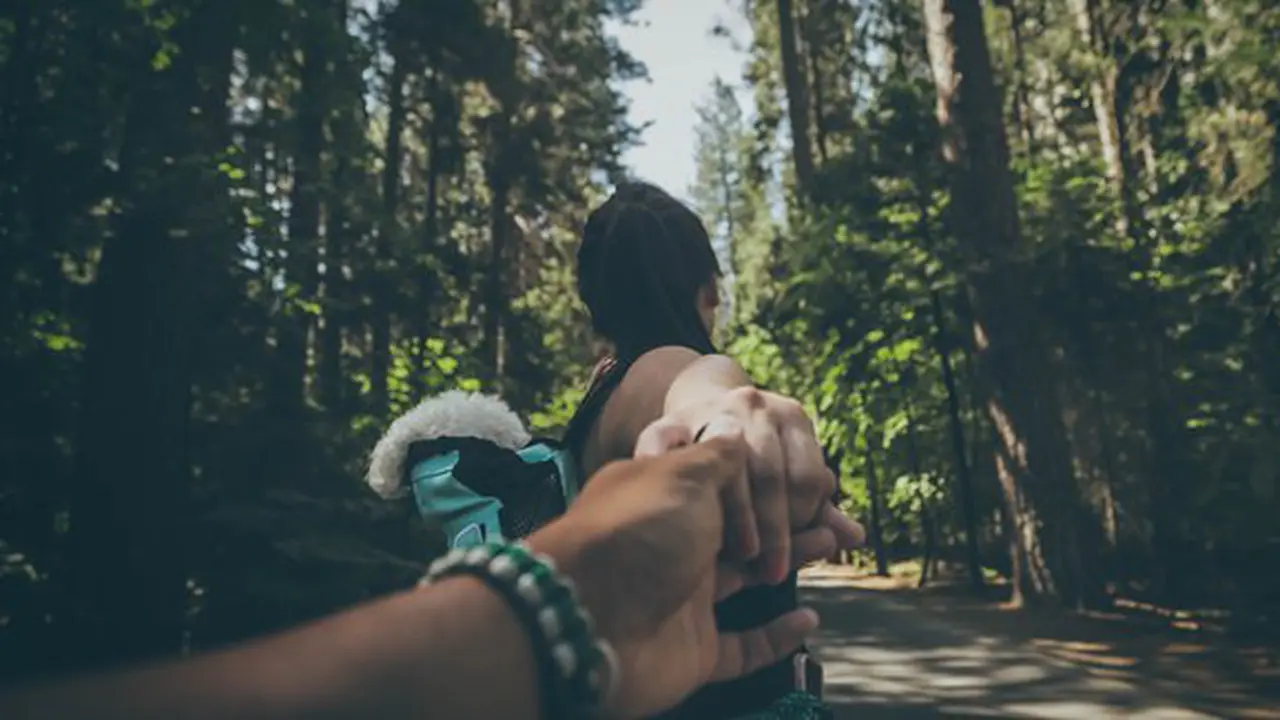 Ilustrasi./Copyright unsplash.com/jay carpio