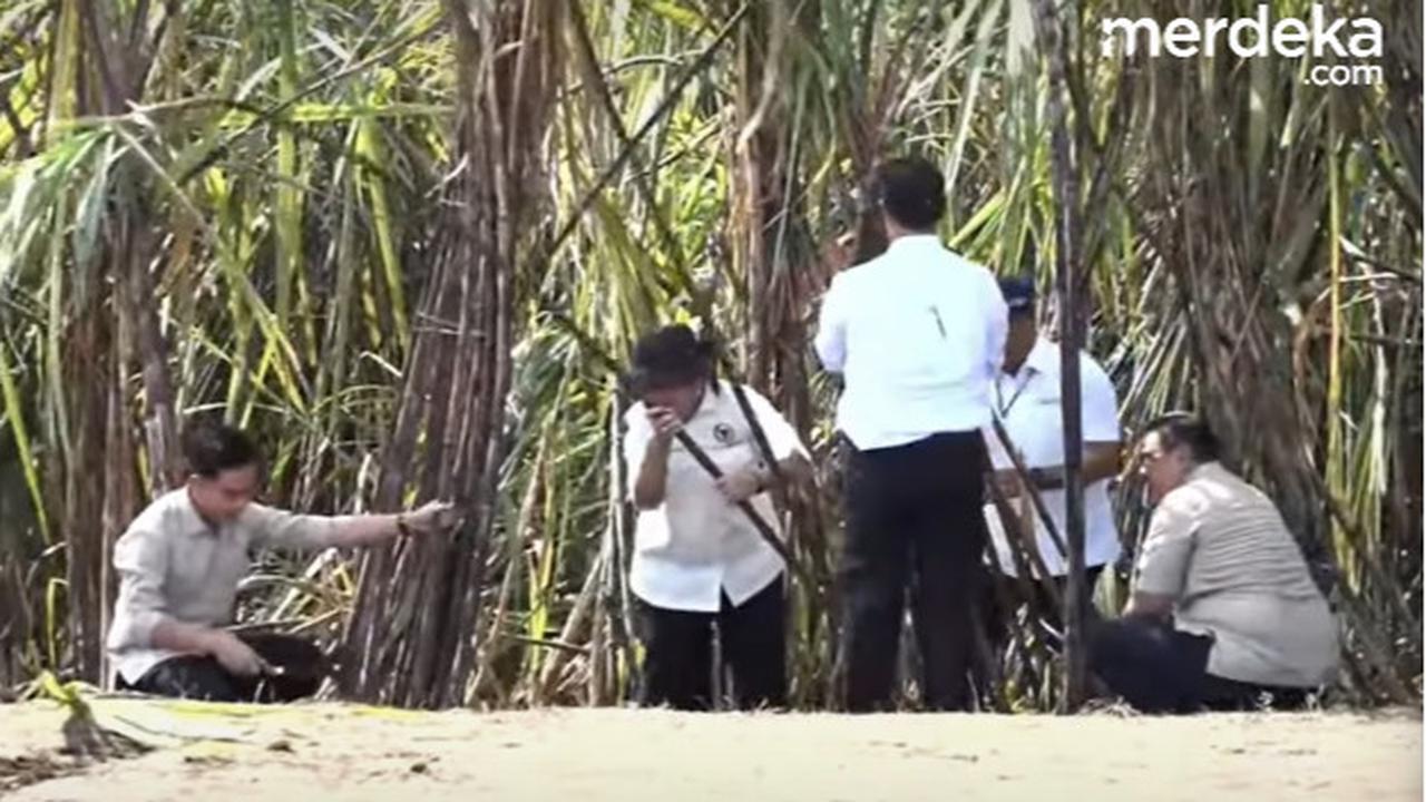 Arit Gibran Copot ⁠saat Panen Tebu, Polisi dan Paspampres Langsung Gercep Lari