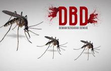 Kemenkes: Penyintas Covid-19 yang Kena DBD Tak Muncul Bintik Merah, Tapi Demam Tak Reda hingga 10 Hari