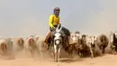 Seorang remaja Irak mengendarai keledai saat mengungsi dari Mosul yang dikuasai ISIS, Irak, Selasa (1/11). Mereka berduyun-duyun membawa ratusan hewan ternaknya untuk diselamatkan ke tempat yang lebih aman. (REUTERS/Ahmed Jadallah)