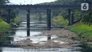 Pemandangan aliran Kanal Banjir Timur (KBT) yang mengering di sepanjang Rawa Bebek, Jakarta, Senin (21/8/2023). Musim kemarau yang terjadi dalam satu bulan ini menyebabkan debit air Kanal Banjir Timur berkurang sehingga memperlihatkan dasar sungai. (merdeka.com/Imam Buhori)