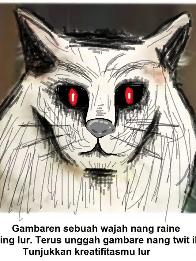 7 Hasil Kreativitas Netizen Menggambar Muka Pada Tubuh Kucing Ini Kocak