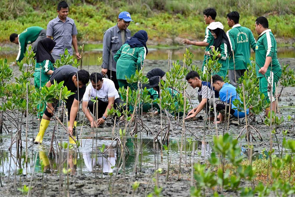 FOTO: Aksi Pelajar Aceh Menanam Mangrove Sambut Hari Sumpah Pemuda
