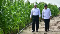 Pastikan Food Estate Berjalan Baik, Mentan-Wamenhan Pantau Lokasi di Gunung Mas/Istimewa.