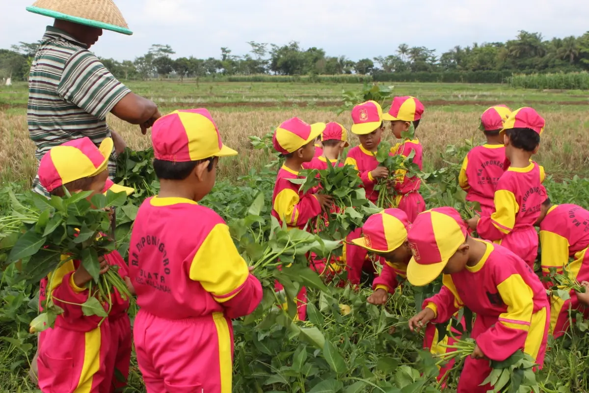 Anak-anak pengunjung eduwisata Toyareja memetik kangkung di ladang, beberapa waktu lalu. (Foto: Liputan6.com/Rudal Afgani)