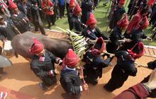 Festival seni budaya Batak