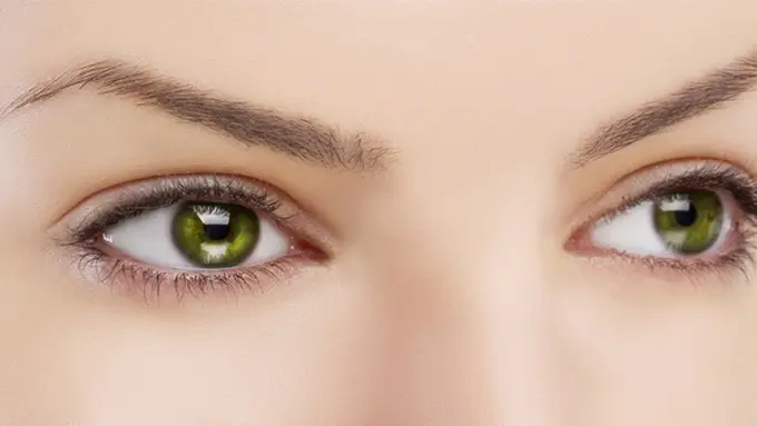 Foto: copyright shutterstock.com