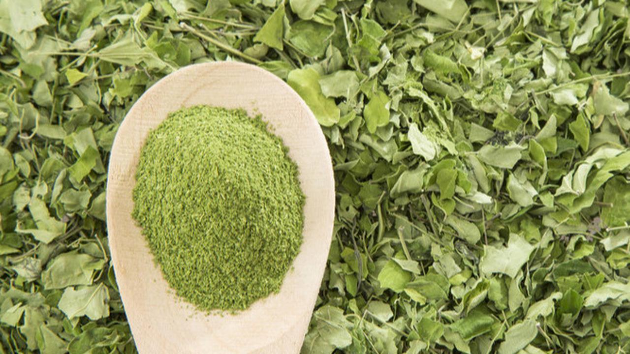 Daun Kelor Bubuk