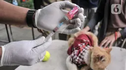 Vaksinasi rabies secara gratis dilakukan kepada hewan peliharaan warga seperti kucing, kera, dan anjing. (merdeka.com/Iqbal S. Nugroho)