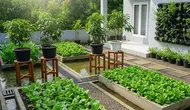 8 Ide Pekarangan Produktif untuk Rumah yang Sering Kebanjiran, Tetap Hijau dan Estetis