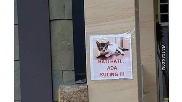 6 Imbauan Libatkan Kucing Ini Nyeleneh Banget, Bikin Heran