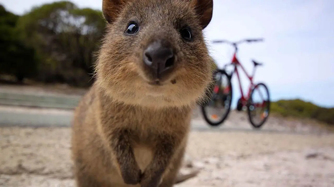 Australia