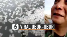 Ubur-ubur tersebut muncul dalam jumlah banyak hingga menutupi permukaan sungai.