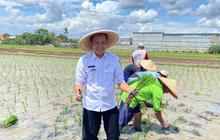 DKP Tangerang Siapkan Strategi Antisipasi Cuaca Ekstrem Demi Panen Beras Optimal