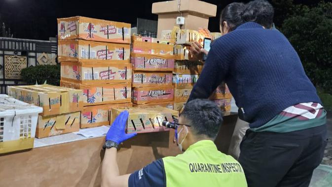 Vonis 5 Tahun Penjara Penyelundup 336 Burung Sumatera: Pesan Tegas Lawan Perdagangan Satwa Liar Ilegal