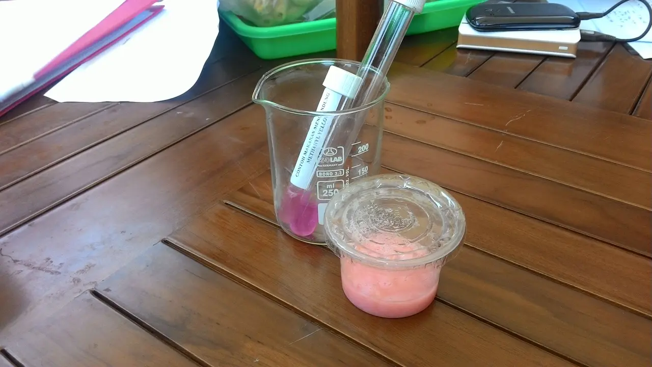 Puding mengandung methanil yellow