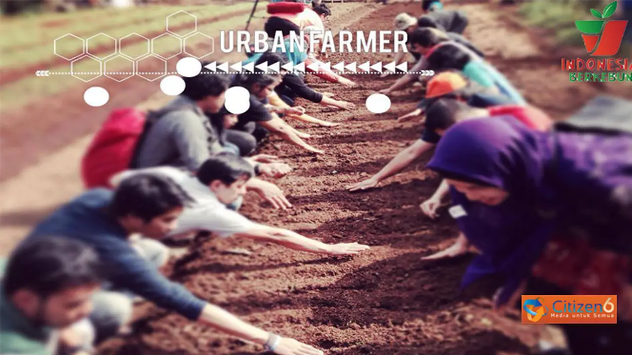 Hijau di Tengah Kota dengan Komunitas Indonesia Berkebun