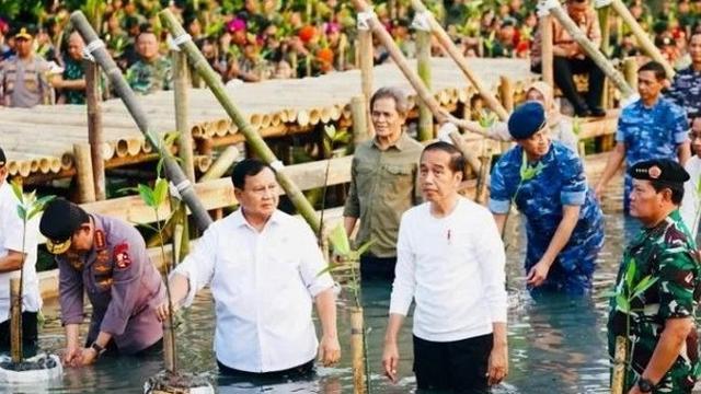 Presiden Jokowi dan Menhan Prabowo melakukan aksi tanam mangrove di Jakarta. (Istimewa)