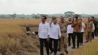 Menteri Pertahanan Prabowo Subianto dan Gubernur Jawa Tengah Ganjar Pranowo "debut" tampil bersama, saat mendampingi Presiden Joko Widodo (Jokowi) dalam agenda panen raya di Desa Lejer, Kecamatan Ambal, Kebumen, Kamis (9/3) (Istimewa)