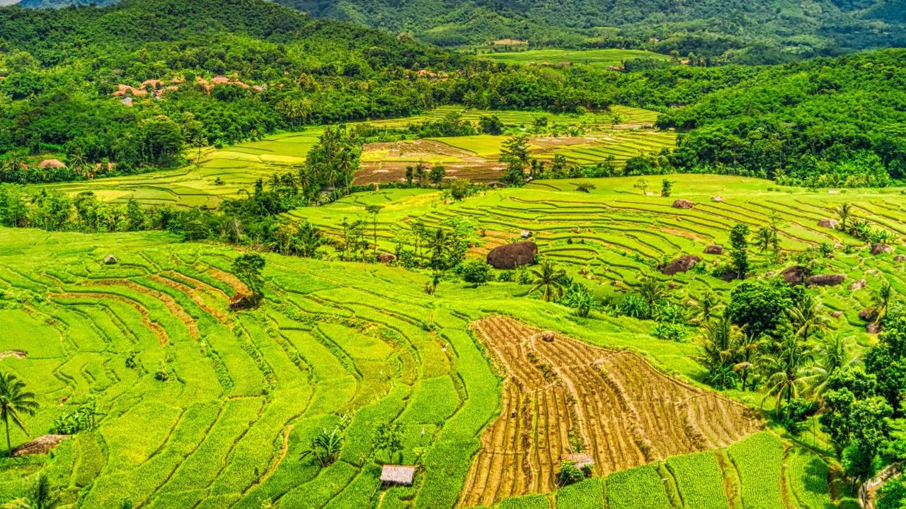 Banyak mitos kesehatan yang aneh-aneh beredar di masyarakat. Sejumlah mitos ini biasanya tumbuh dan berkembang di daerah tertentu dan dipercaya masyarakat di daerah tersebut.