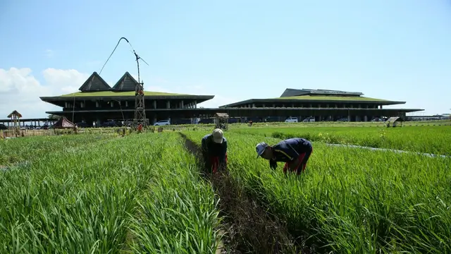 Banyuwangi