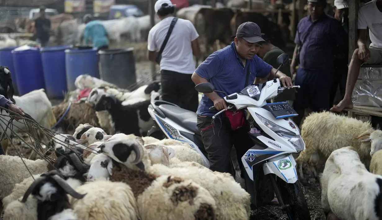 <p>Menurut pengelola, sepekan menjelang Hari Raya Idul Adha pasar hewan di Jonggol kian ramai aktivitas jual beli. (AP Photo/Dita Alangkara)</p>
