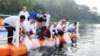 Sekretaris Jenderal PDIP Hasto Kristiyanto menebar 100 ribu bibit ikan di Waduk Jatiluhur.(Foto: Dokumentasi PDIP).