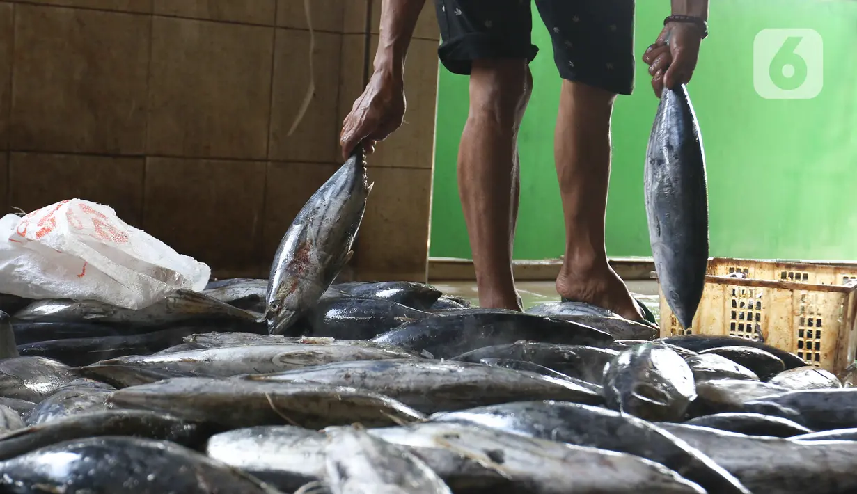 Pekerja membersihkan ikan cakalang untuk dijual ke pasar di Rumah Produksi Ikan Cakalang, Jagakarsa, Jakarta, Sabtu (19/11/2022). Kementerian Kelautan dan Perikanan (KKP) mengajak masyarakat untuk mengkonsumsi olahan ikan asli Indonesia yang komposisi gizinya tidak kalah dengan ikan impor dan harga yang lebih terjangkau. (Liputan6.com/Herman Zakharia)