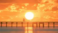 Sun Quotes: 25 Uplifting Words that Radiate Positivity