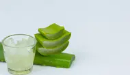 Cara Menggunakan Lidah Buaya untuk Wajah, Panduan Lengkap dari Gel Segar hingga Masker