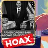 Deretan Foto Hoaks yang Beredar Media Sosial, Ada Hasil Olahan AI