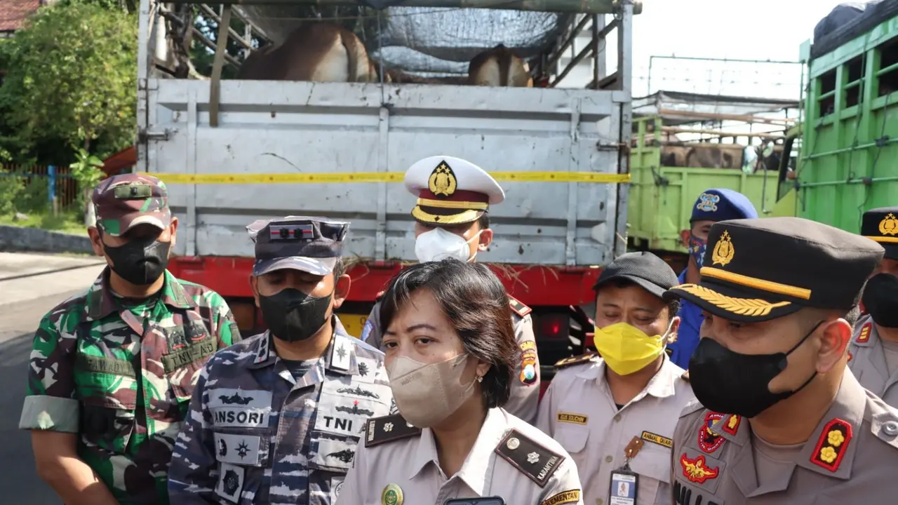 Razia Hewan ternak di Pelabuhan Ketapang cegah penyeberan PMK di Banyuwangi. (Istimewa)