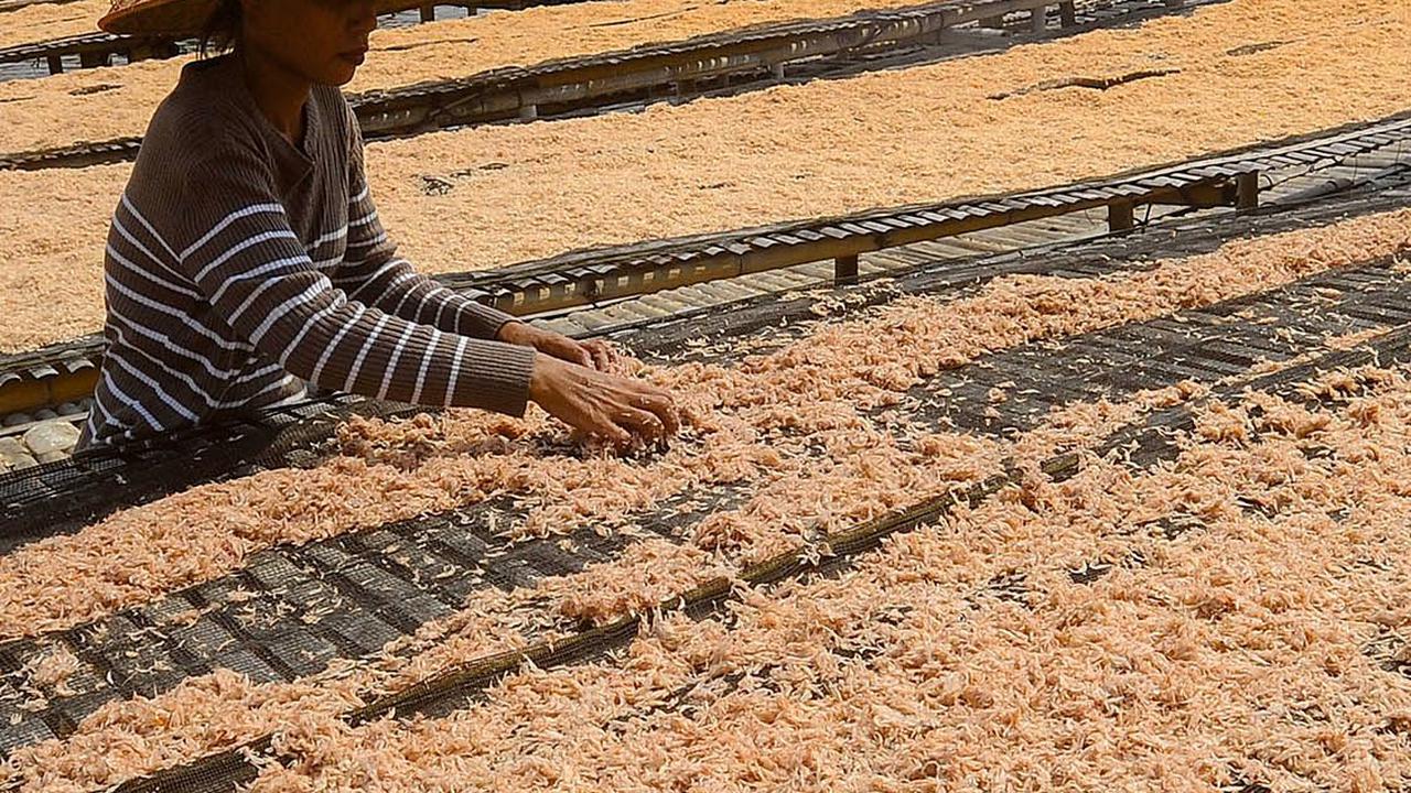 Seperti Sumatra, Kalimantan dan Sulawesi merupakan provinsi yang memiliki permintaan cukup banyak.