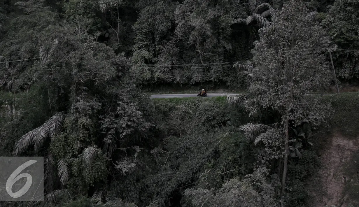 Pengendara melintas di jalan yang tertutup abu vulkanik erupsi Gunung Sinabung di Desa Sibintun, Sumatera Utara, Minggu (5/7/2015). Letusan yang terjadi dari 2013 sampai saat ini mengakibatkan puluhan ribu jiwa mengungsi. (Liputan6.com/Johan Tallo)