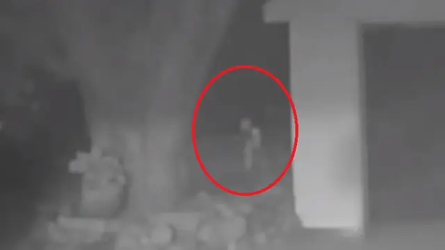 Penampakan Tuyul (Capture/Intan aja)